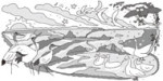 イラスト:清重 伸之©