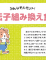 【パンフレット】みんなモルモット！遺伝子組み換え食品