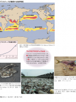2018年7月号「生態系を破壊する マイクロプラスチック」