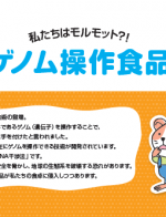 【パンフレット】私たちはモルモット?!　ゲノム操作食品