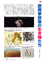 原発事故後の生き物たち